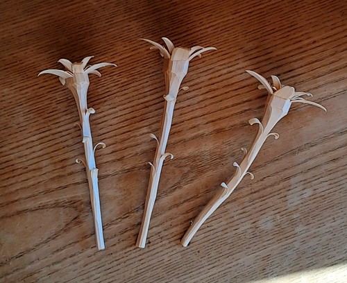 Edelweiss zirbe stück - edelweiss, 3