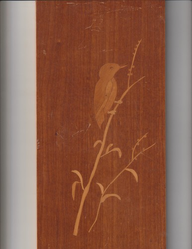 Intanrsien bild vogel auf - intanrsien,