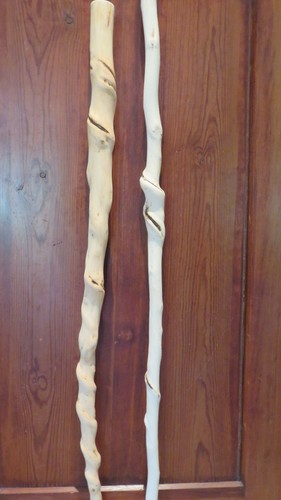 Wanderstöcke stenze - 2,