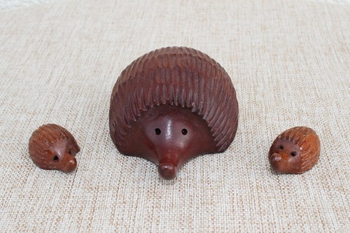 Igelmutter mit jungen - mit,